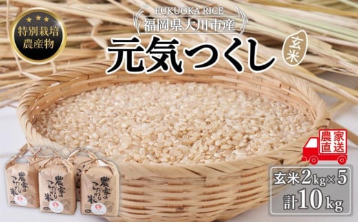 玄米(特別栽培農産物)元気つくし 2kg×5袋 (計10kg)