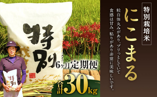 【6ヶ月定期便】相良村産 特別栽培米 にこまる 5kg 1256544 - 熊本県相良村