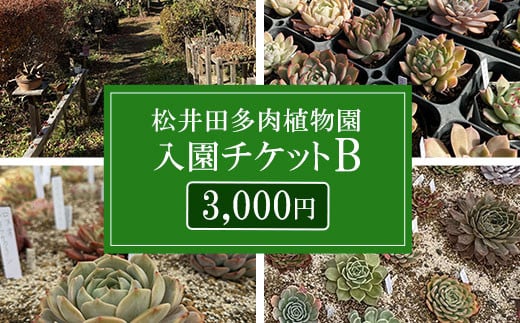 松井田多肉植物園チケットB（3,000円） ANAG003 532580 - 群馬県安中市