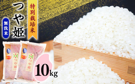 《 無洗米 10kg 》 農家直送の「 特別栽培米 つや姫 無洗米 」 山形県産　020-C-SR006