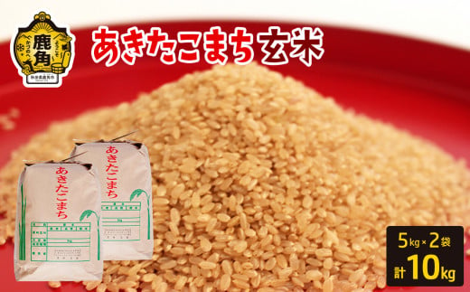 令和6年産 秋田県鹿角市産 あきたこまち【玄米】10kg（5kg×2袋）【豊田農園】 玄米 米 お米 こめ コメ 県産米 国産米 ギフト お中元 お歳暮 ふるさと 返礼品 秋田 あきた 鹿角市 鹿角 送料無料  295502 - 秋田県鹿角市