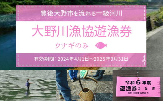 大野川漁協遊漁券 ウナギのみ