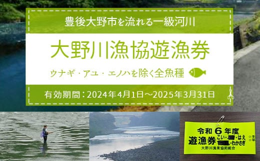 大野川漁協遊漁券 ウナギ・アユ・エノハを除く全魚種