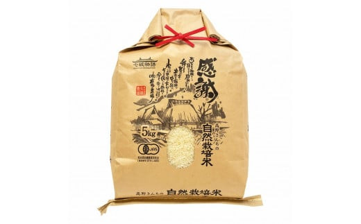熊本県菊池産 ヒノヒカリ 白米 5kg 七城物語 高野さんちの自然栽培米 精米