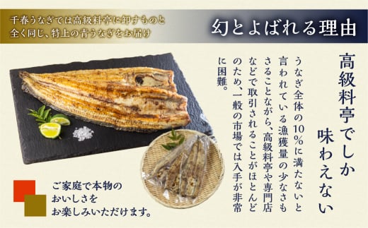 愛知県田原市のふるさと納税 【冷凍】厳選 高級 青うなぎ 白焼 10尾 1500g 冷蔵 / 冷凍 が選べる