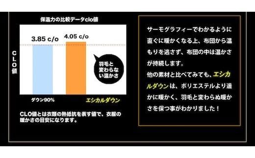 広島県福山市のふるさと納税 洗える ホコリが出にくい 羽毛布団『掛け布団』〈シングル〉