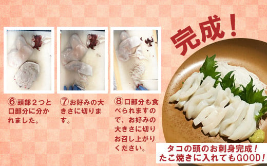 【訳あり】北海道羽幌産 刺身用たこ頭 1～2個入（700g～800g）【冷凍】