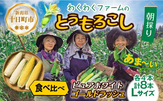 ｜先行予約受付｜ 令和7年産 朝採れ とうもろこし ゴールドラッシュ ピュアホワイト Lサイズ 各4本 計8本 食べ比べ 産地直送 新鮮 コーン 農園 野菜 農作物 わくわくファーム 送料無料 986813 - 新潟県十日町市
