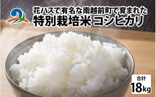 令和5年度産 特別栽培米 コシヒカリ 18kg（9kg×2袋） 961241 - 福井県南越前町