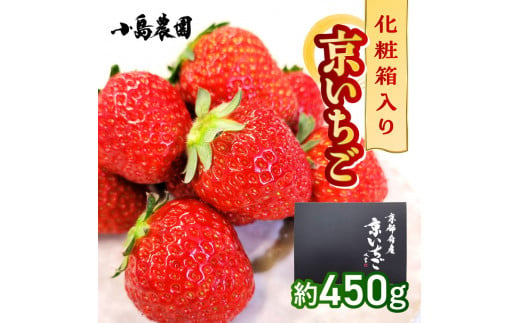 【数量限定】高級 完熟 京いちご 1箱 希少 お楽しみ【紅ほっぺ おいCベリー スターナイト から厳選してお届け】人気 小島農園 減農薬 果実 新鮮 フルーツ 旬 いちご 苺 有名 スイーツ店 御用達※2024年1月中旬～5月下旬頃に順次発送予定