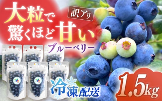 【訳あり】加工に最適！冷凍ブルーベリー 1.5kg【いきつきブルーベリー園 moon berry’s kitchen】 [KAM003]