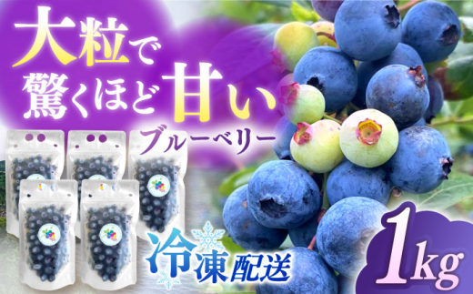 【新鮮】摘みたて！冷凍ブルーベリー 1.0kg【いきつきブルーベリー園 moon berry’s kitchen】 [KAM002] 1283989 - 長崎県平戸市