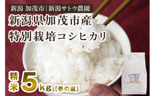 【令和6年産新米先行予約】化学肥料不使用 従来コシヒカリ 5kg【壱の蔵】特別栽培 従来品種 有機肥料 精米 米 お米 加茂市 新潟サトウ農園 1100848 - 新潟県加茂市