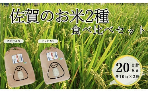 佐賀のお米2種食べ比べセット 10kg×2種(さがびより ヒノヒカリ各10kg)