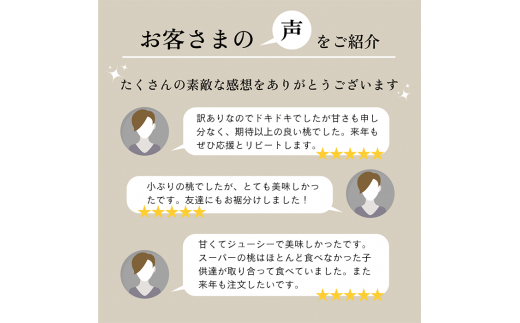 山梨県笛吹市のふるさと納税 訳あり　桃 　もも　山梨県　笛吹市　2kg以上　8玉から10玉　「フルーツ 果物　白桃　規格外」　秀品　高評価 人気 ランキング 　おすすめ　コスパ　甘い　高糖度　 美味しい　デザート　数量限定　送料無料　産地直送　山梨県産【ふるさと納税】　＜2024年発送＞「販売」KEIPE株式会社 154-031