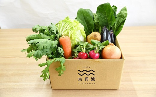 京丹波町産野菜セットのスモールサイズ（6～8品目）。
