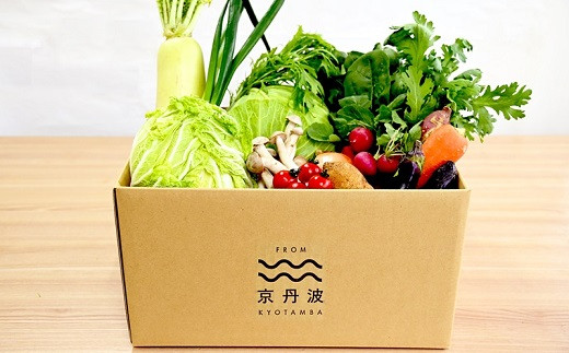 京丹波町産野菜セットのレギュラーサイズ（9～11品目）を毎月お届けします。