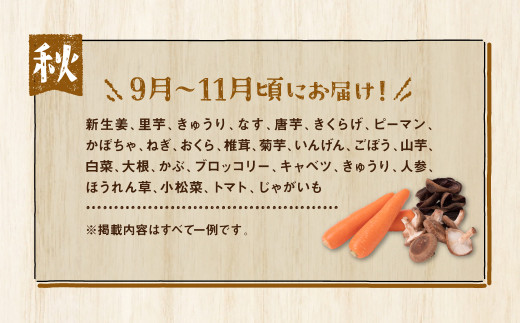 9月～11月頃にお届け！新生姜、里芋、きゅうり、なす、唐芋、きくらげ、ピーマン、かぼちゃ、ねぎ、おくら、椎茸、菊芋、いんげん