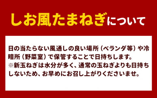 岡山県笠岡市のふるさと納税 【2025年先行予約】 しお風新たまねぎ 約10kg 2025年発送 先行予約《5月下旬-6月上旬頃出荷》 玉ねぎ 新たまねぎ 玉葱 たまねぎ 新玉 野菜 青果物 岡山県 笠岡市