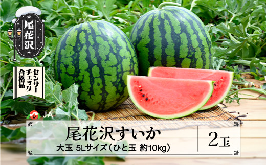 先行予約 尾花沢すいか 5Lサイズ 約10㎏×2玉 7月下旬～8月10日頃発送 2024年産 令和6年産 JA ja-su5xx2