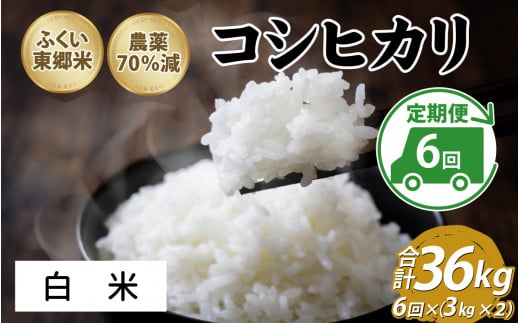 【定期便6ヶ月連続】令和5年産 ふくい東郷米 特別栽培米 農薬70％減 コシヒカリ 6kg(3kg×2袋)×6ヶ月 合計36kg【白米】[H-020013_01] 1005013 - 福井県福井市