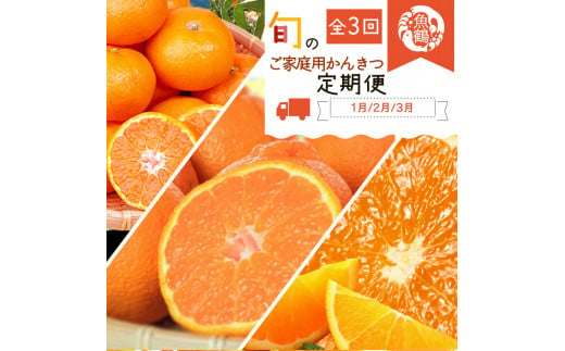 G60-T34_【定期便 全3回】紀州和歌山産旬の ご家庭用 柑橘セット（みかん・不知火・清見）