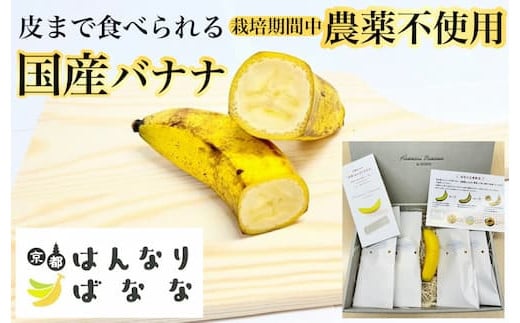 国産バナナ 5本セット 皮まで食べられる 『京都はんなりばなな』《栽培期間中農薬不使用 京都初 亀岡産 希少》
※離島への配送不可