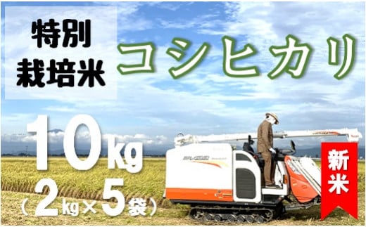 [令和6年産・精米]米蔵いいの特別栽培米コシヒカリ10kg(2kg×5袋) ※10月上旬ごろから順次発送開始