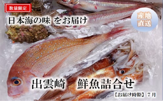 【数量限定】出雲崎  鮮魚詰め合わせ（魚や元） 1330856 - 新潟県出雲崎町
