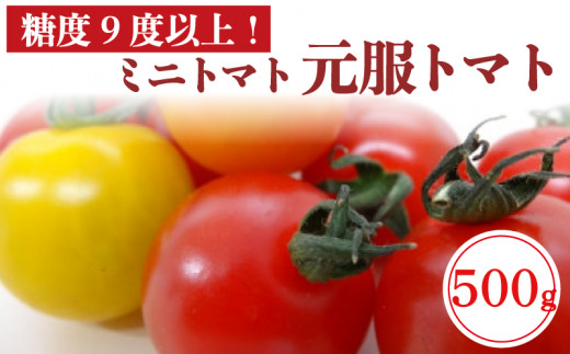 赤崎元服トマト フルーツトマト 500g 野菜 ミニトマト