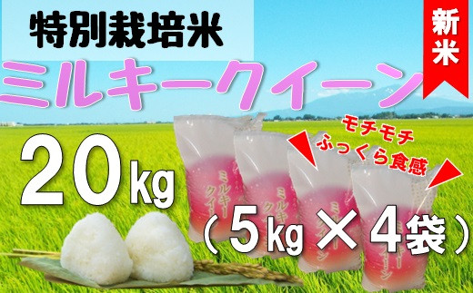 [令和6年産・精米]米蔵いいの特別栽培米ミルキークイーン20kg(5kg×4袋) ※10月上旬ごろから順次発送開始