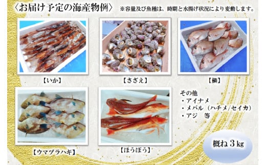 海産物の一例
