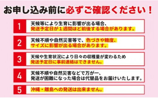 福島県福島市のふるさと納税 No.2740【先行予約】梨　あきづき　3kg【2024年発送】