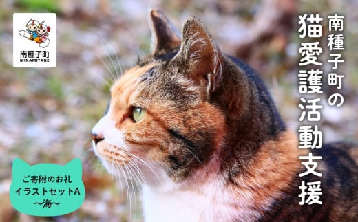 【猫愛護ボランティア作成】猫ちゃんのイラストセットA：猫と海のファンタジー 1287670 - 鹿児島県南種子町