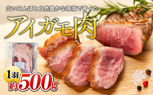 A02-003 【先行予約受付中】アイガモ肉（生肉）2羽分【令和6年産】