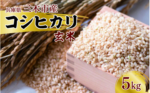 三木市産コシヒカリ「玄米」　5kg 986855 - 兵庫県兵庫県庁