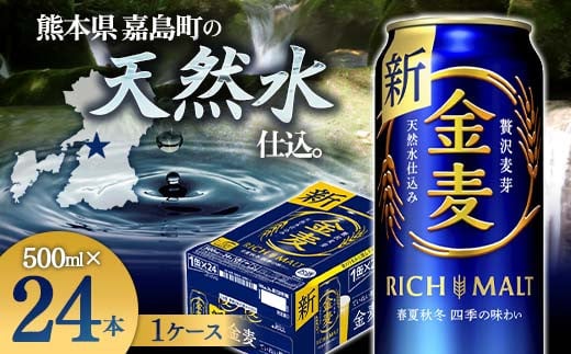 FKK19-786  サントリー 金麦 500ml×１ケース(24本)　 熊本県 嘉島町 ビール 