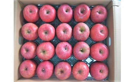 りんご（サンふじ）１０ｋｇ　４０～４６玉　ご家庭用　0056-2429