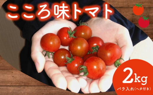 トマト プチ プチトマト ミニ ミニトマト 新鮮 摘みたて 就労支援 こころみファーム　こころ味トマト