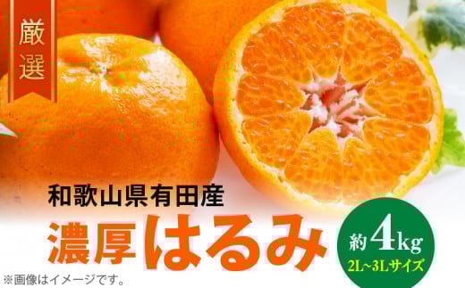 AB6048n_【2026年先行予約】 和歌山有田の濃厚 はるみ 4kg (2L～3Lサイズ)【ハルミ 春見 ミカン 蜜柑 柑橘 和歌山 有田】