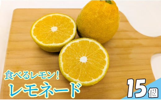 食べるレモン！ レモネード（15個） 1296296 - 茨城県鉾田市