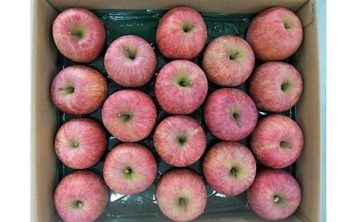 りんご（サンふじ）５ｋｇ　１１～２０玉　ご家庭用　0056-2425