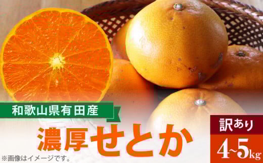 AB6303n_【2026年先行予約】柑橘の王様 和歌山有田の 濃厚せとか【訳あり 家庭用】4～5kg