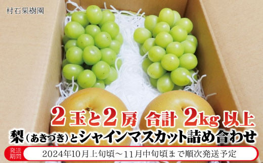 [No.5657-3409]梨（あきづき）2玉とシャインマスカット2房 合計2kg以上  詰め合わせ《村石果樹園》■2024年発送■※10月上旬頃～11月中旬頃まで順次発送予定|村石果樹園