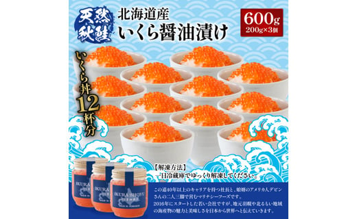 【ふるさとチョイス限定】 北海道産 天然秋鮭 いくら醤油漬600g(200g×3)