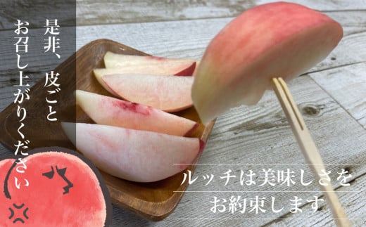 皮を剥かずにリンゴのように皮ごと召し上がってください！皮の直下が一番甘い！