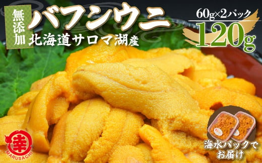 【先行予約】サロマ湖産 無添加 バフンウニ 120g（60g×2）海水パック 【 ふるさと納税 人気 おすすめ ランキング 魚介類 うに ばふんうに バフンウニ 雲丹 ウニ 海鮮丼 ウニ丼  新鮮 オホーツク 北海道 佐呂間町 送料無料 】 SRMA021 1358157 - 北海道佐呂間町