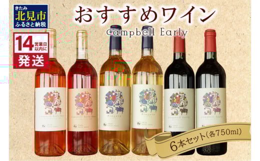 《14営業日以内に発送》おすすめワイン6本セット ( ワイン お酒 酒 ぶどう セット )【138-0007】