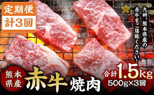 【定期便3回】肥後の赤牛 焼肉 500g 計1500g 1241516 - 熊本県水俣市