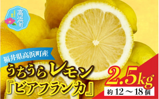 【先行予約】日本海で育ったうちうらレモン「ビアフランカ2.5kg」皮まで丸ごと食べられます！【1月初旬より順次発送】 1290759 - 福井県高浜町